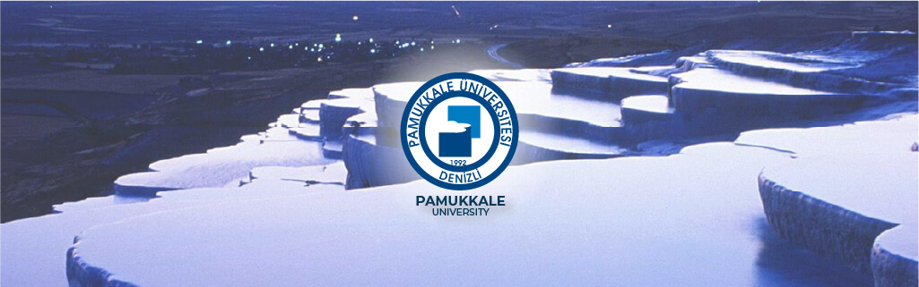 Pamukkale University